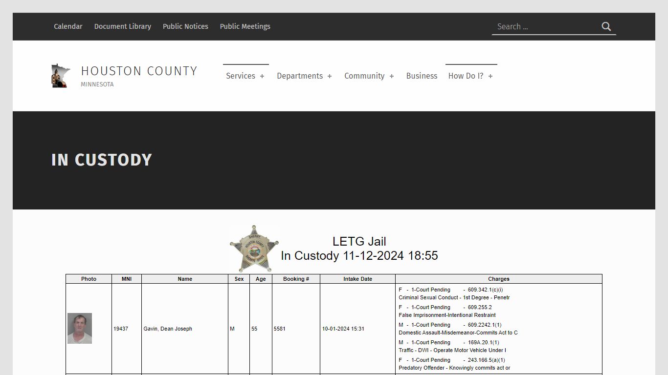 In Custody – Houston County